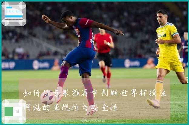 如何从专家推荐中判断世界杯投注网站的正规性与安全性