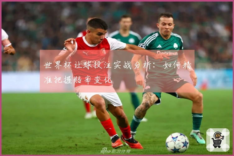 世界杯让球投注实战分析：如何精准把握赔率变化