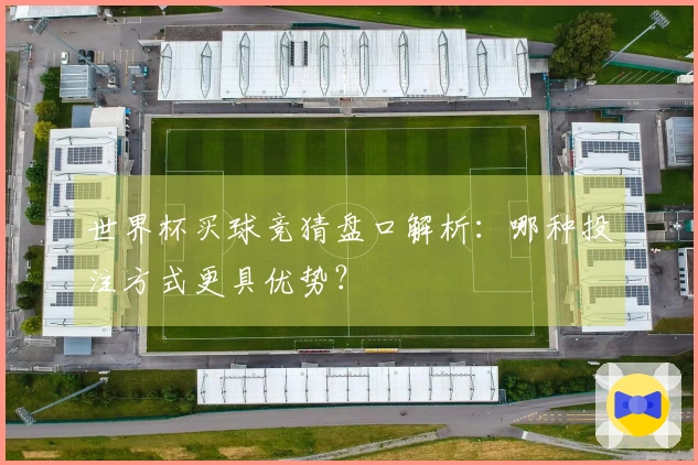 世界杯买球竞猜盘口解析：哪种投注方式更具优势？