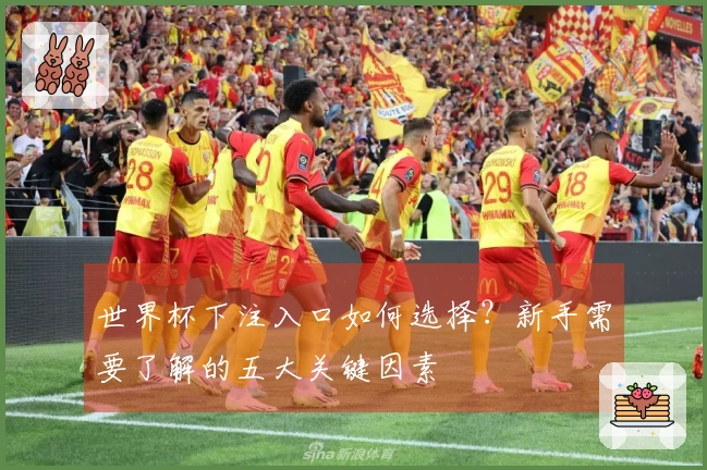 世界杯下注入口如何选择？新手需要了解的五大关键因素