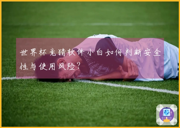 世界杯竞猜软件小白如何判断安全性与使用风险？