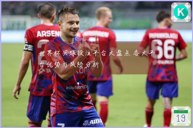 世界杯买球投注平台大盘点 各大平台优势与风险分析
