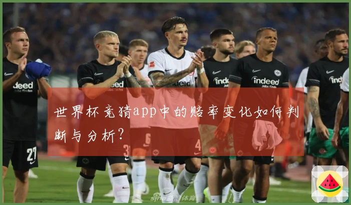世界杯竞猜app中的赔率变化如何判断与分析？