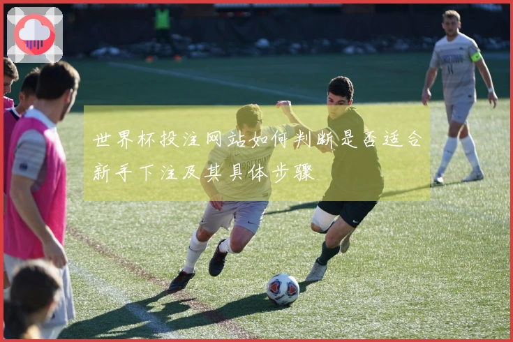 世界杯投注网站如何判断是否适合新手下注及其具体步骤