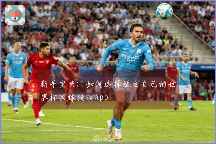 新手宝典：如何选择适合自己的世界杯买球投注App