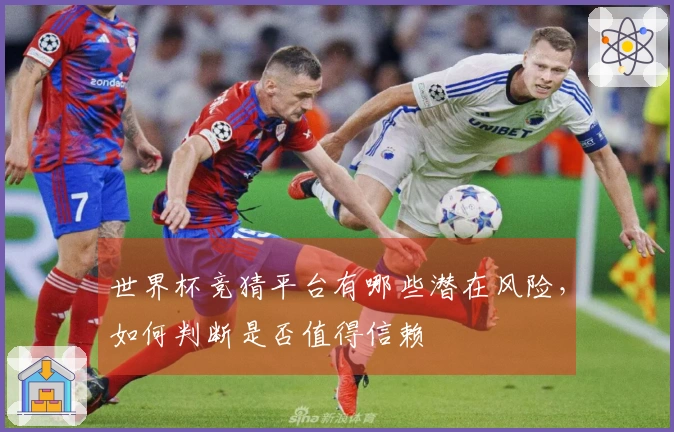 世界杯竞猜平台有哪些潜在风险，如何判断是否值得信赖