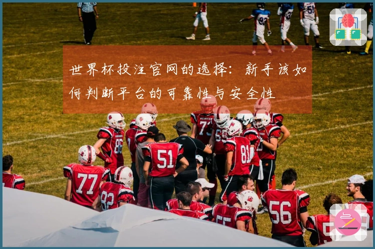 世界杯投注官网的选择：新手该如何判断平台的可靠性与安全性