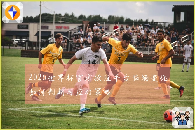 2026世界杯官方投注平台临场变化如何判断与应对策略