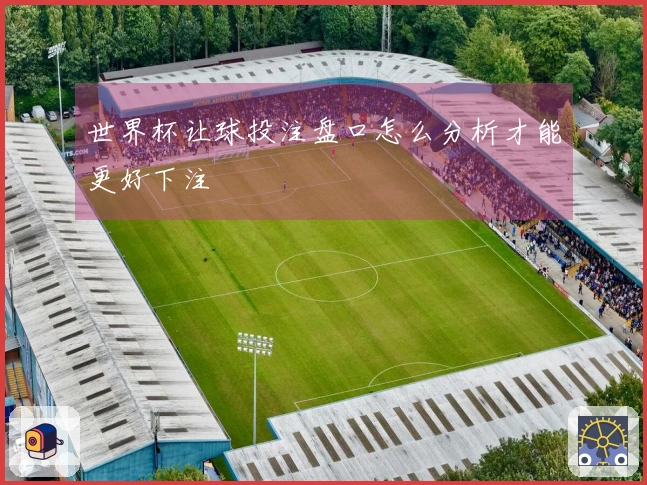 世界杯让球投注盘口怎么分析才能更好下注