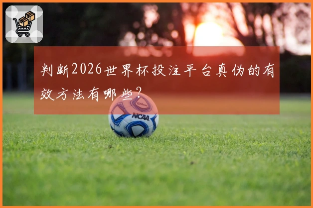 判断2026世界杯投注平台真伪的有效方法有哪些？