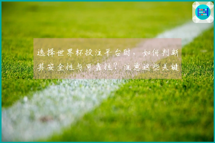 选择世界杯投注平台时，如何判断其安全性与可靠性？注意这些关键事项！