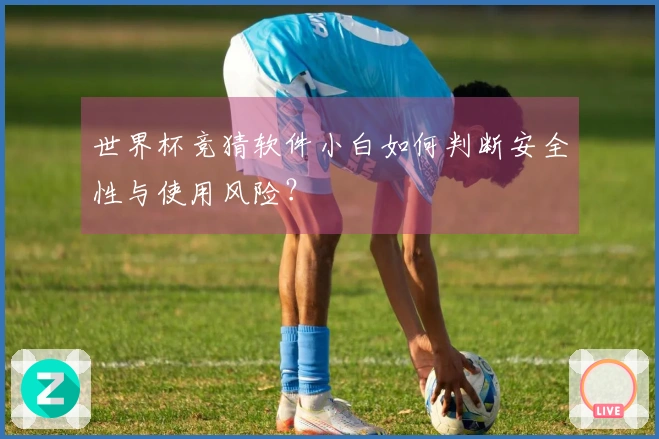 世界杯竞猜软件小白如何判断安全性与使用风险?