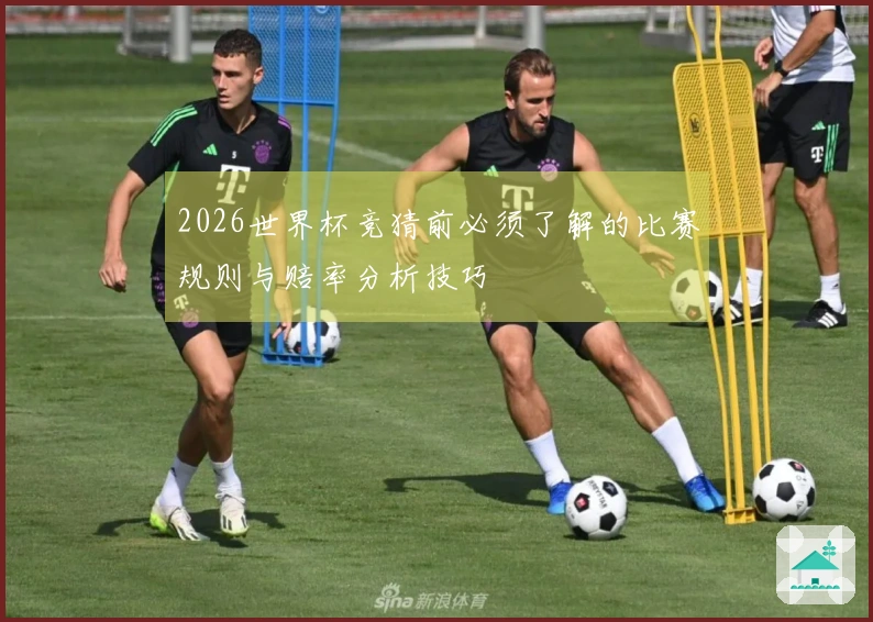 2026世界杯竞猜前必须了解的比赛规则与赔率分析技巧