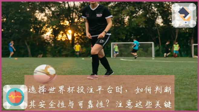 选择世界杯投注平台时，如何判断其安全性与可靠性？注意这些关键事项！