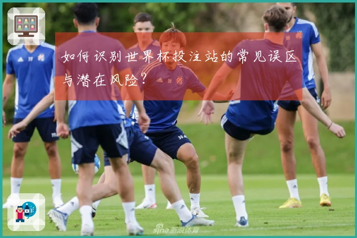 如何识别世界杯投注站的常见误区与潜在风险？
