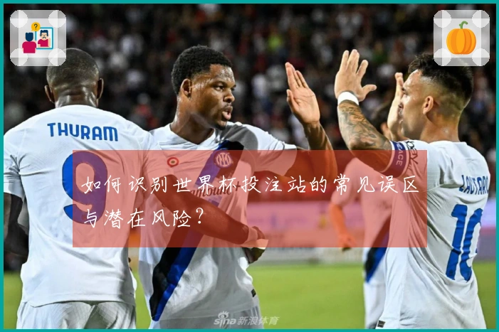 如何识别世界杯投注站的常见误区与潜在风险？
