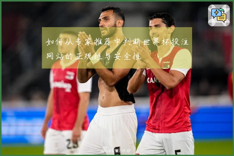 如何从专家推荐中判断世界杯投注网站的正规性与安全性