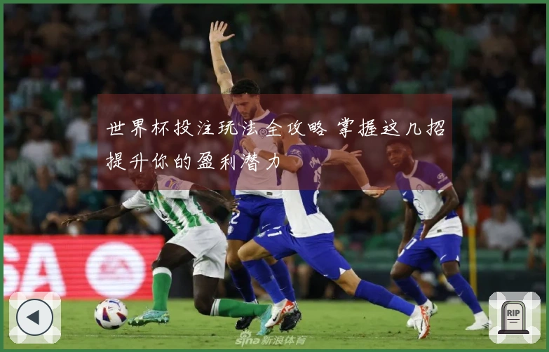 世界杯投注玩法全攻略 掌握这几招提升你的盈利潜力
