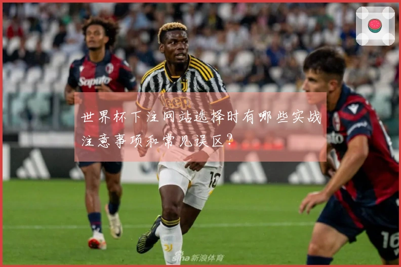 世界杯下注网站选择时有哪些实战注意事项和常见误区？