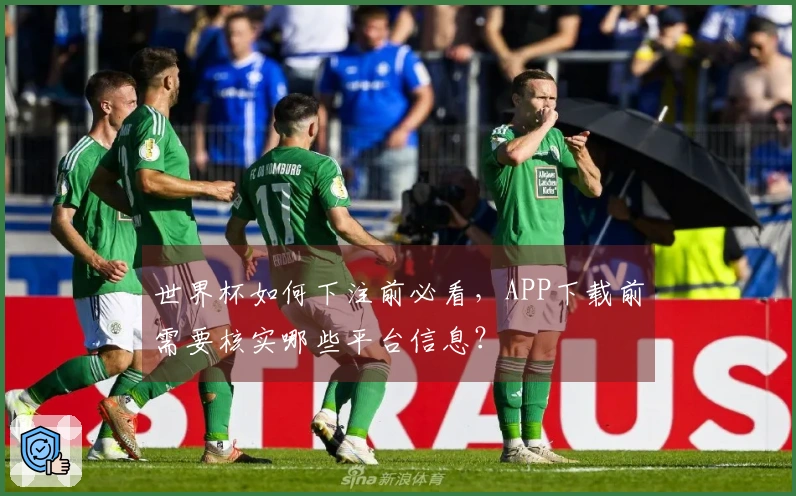世界杯如何下注前必看,APP下载前需要核实哪些平台信息?