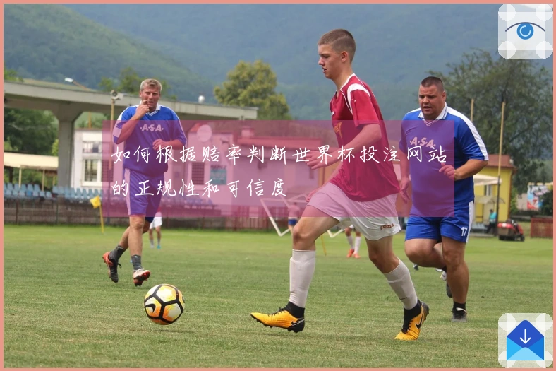 如何根据赔率判断世界杯投注网站的正规性和可信度