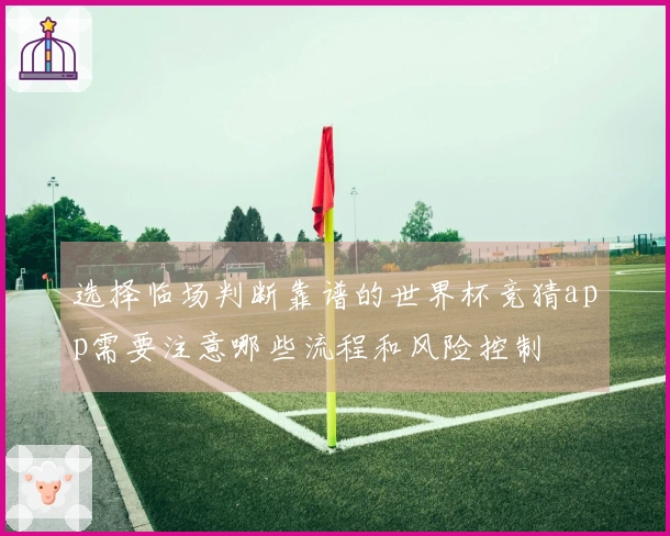 选择临场判断靠谱的世界杯竞猜app需要注意哪些流程和风险控制