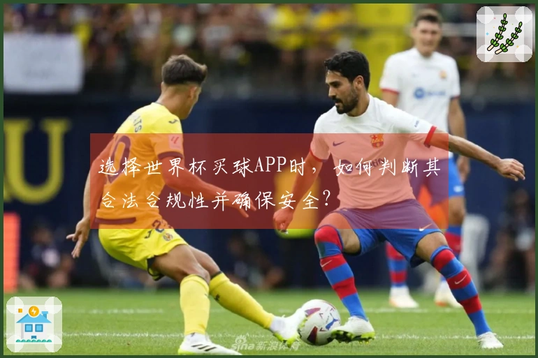 选择世界杯买球APP时，如何判断其合法合规性并确保安全？