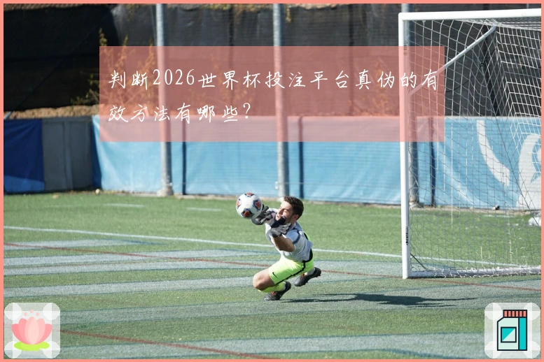 判断2026世界杯投注平台真伪的有效方法有哪些？