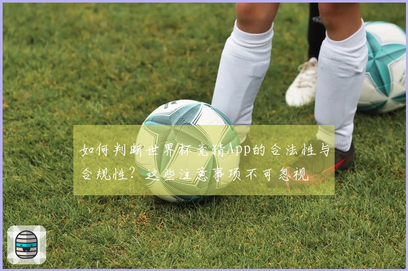 如何判断世界杯竞猜App的合法性与合规性？这些注意事项不可忽视