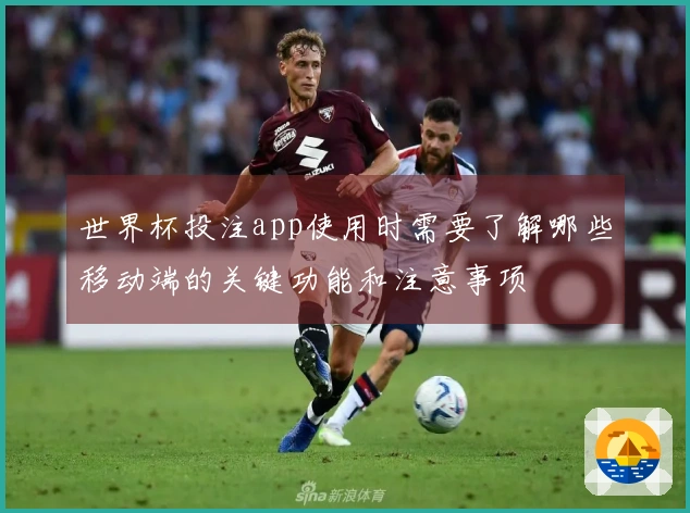 世界杯投注app使用时需要了解哪些移动端的关键功能和注意事项