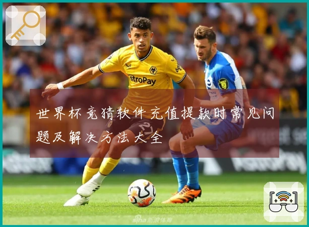 世界杯竞猜软件充值提款时常见问题及解决方法大全