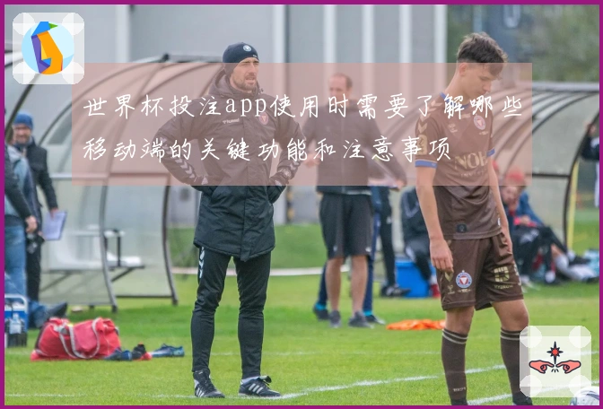 世界杯投注app使用时需要了解哪些移动端的关键功能和注意事项