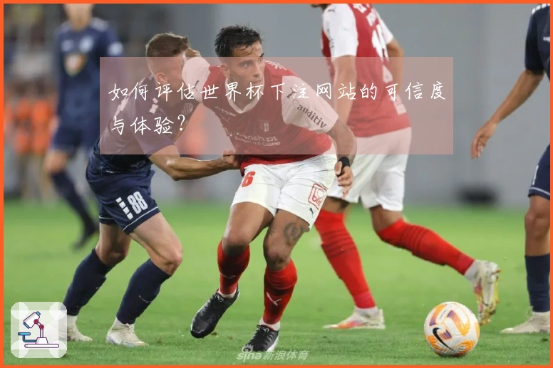 如何评估世界杯下注网站的可信度与体验？