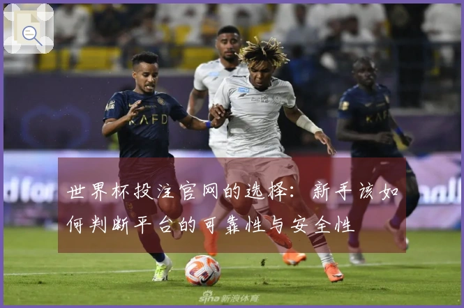 世界杯投注官网的选择：新手该如何判断平台的可靠性与安全性