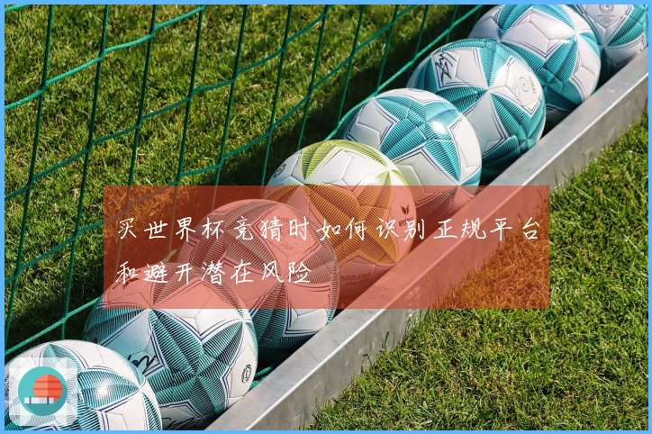 买世界杯竞猜时如何识别正规平台和避开潜在风险