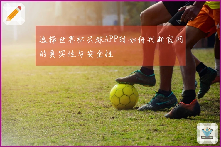 选择世界杯买球APP时如何判断官网的真实性与安全性