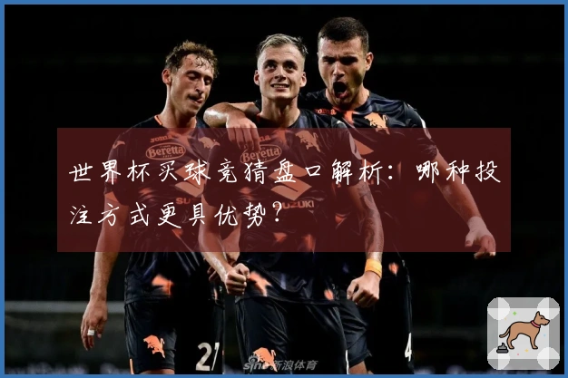 世界杯买球竞猜盘口解析：哪种投注方式更具优势？