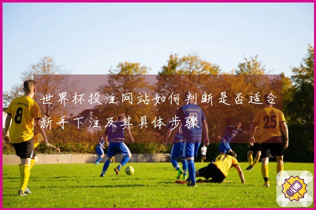 世界杯投注网站如何判断是否适合新手下注及其具体步骤