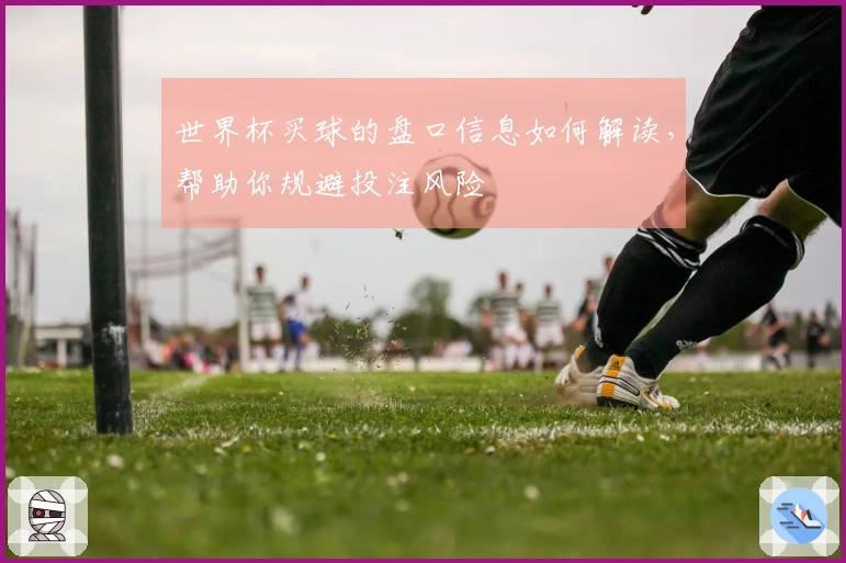 世界杯买球的盘口信息如何解读，帮助你规避投注风险
